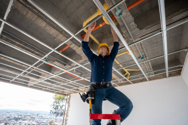 Best Residential Plumbing Services  in Geneva, FL